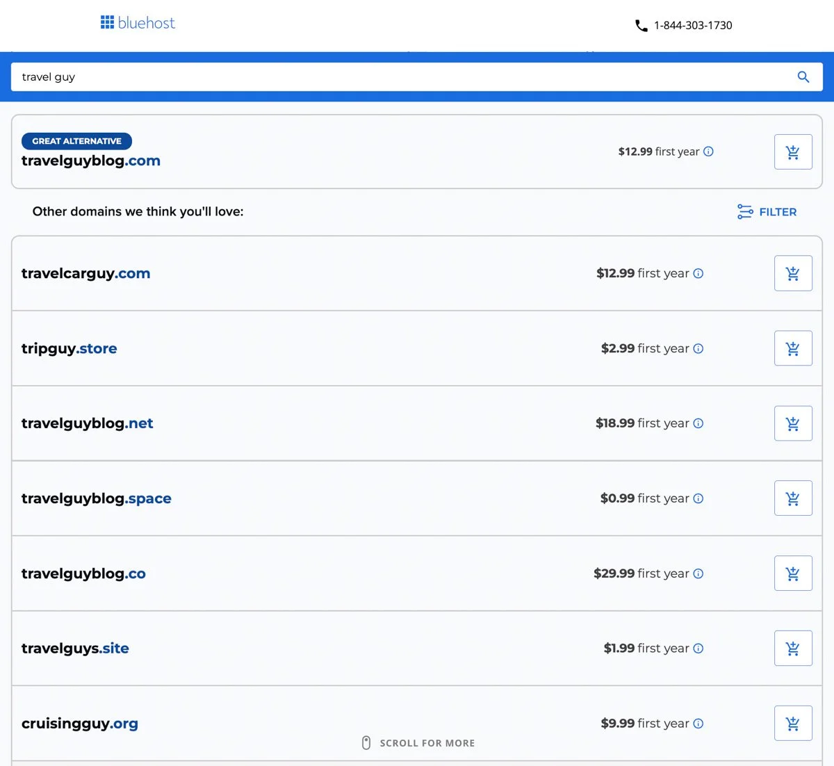 Bluehost get a domain example